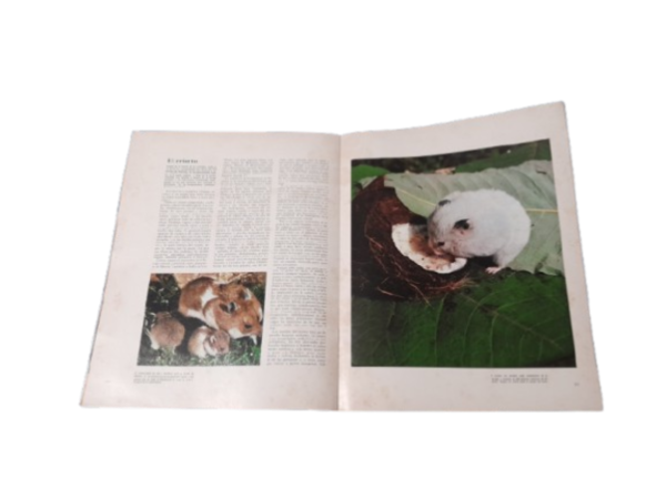 Miniatura de producto - 5