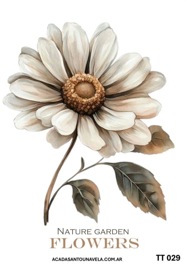 Producto - Lámina termotransferible PLANCHA tt029