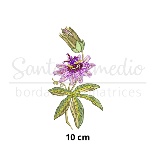 Producto - Pasionaria flor 10 cm matriz