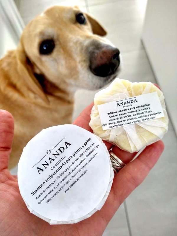 Producto - Shampoo para perros y gatos