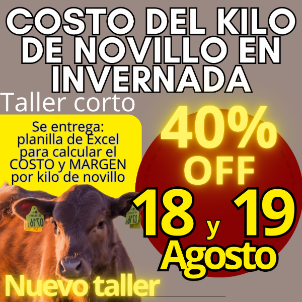 Producto - Taller corto: cálculo del costo del kilo de novillo