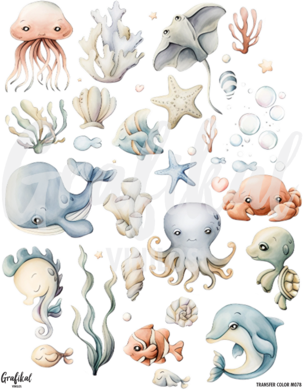 Producto - TransferColor 20x25 078