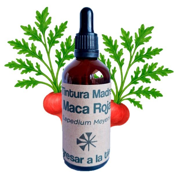 Producto - Tintura Madre de Maca Peruana Roja 100ml