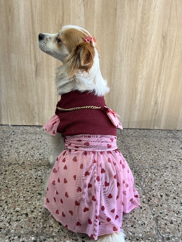 Producto - Vestido corazones con cartera - 2