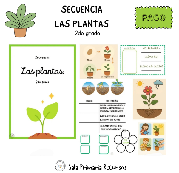 Producto - Las plantas 2do grado