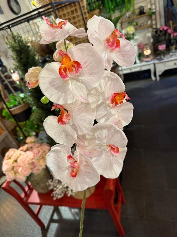 Producto - Vara Orquídea Grande Blanca 1mts (Efectivo: 14.320)
