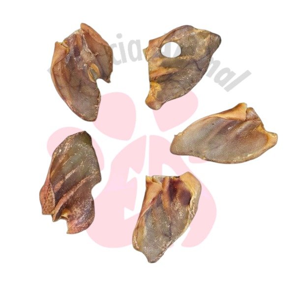 Producto - OREJAS DE CERDO (X MAYOR)