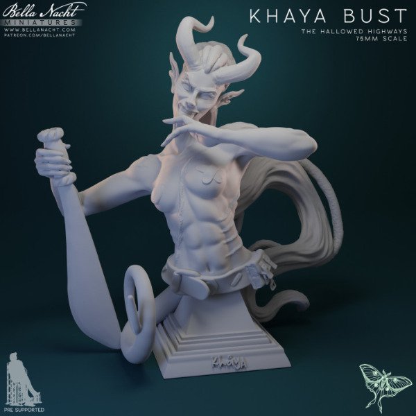 Producto - Khaya Busto