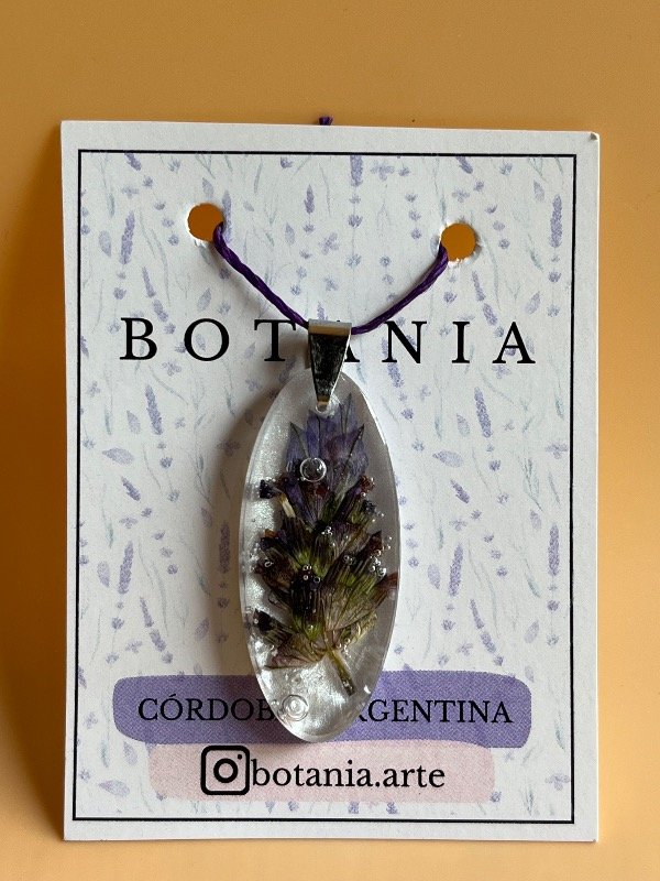 Producto - Lavanda 1