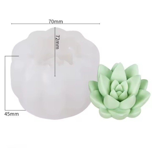 Producto - SUCULENTA H42-008H8