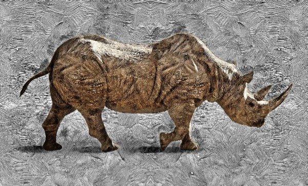 Producto - Animales 008