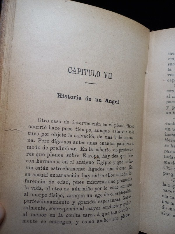 Producto - Protectores Invisibles - C. W. Leadbeater - 4