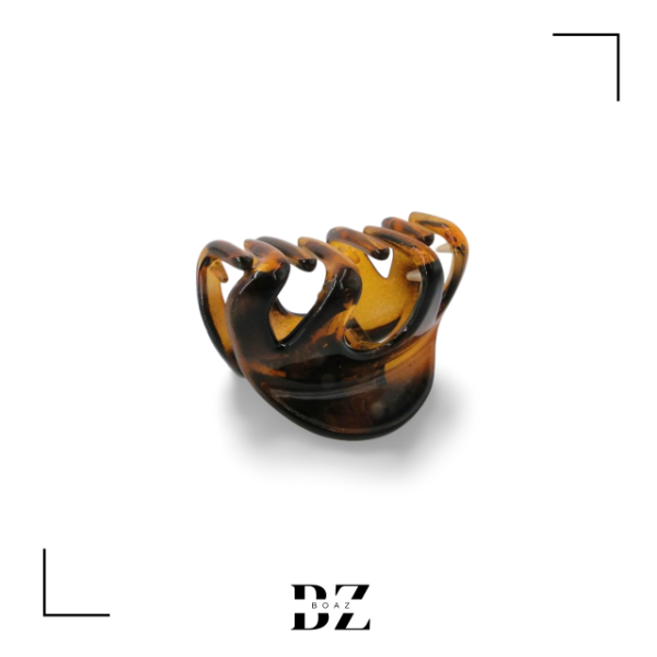 Producto - SET DE 1 BROCHE Y 4 COLITAS EN CARD COLOR CAREY - 2013-2