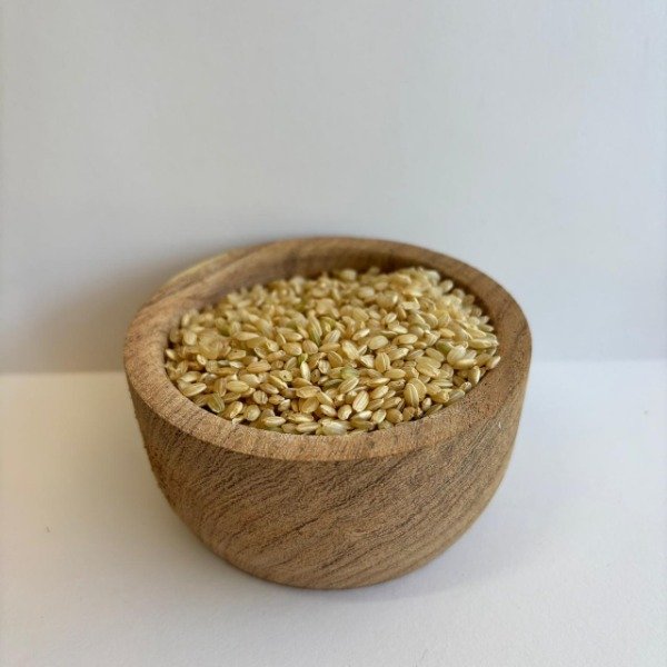 Producto - Arroz Yamani Integral