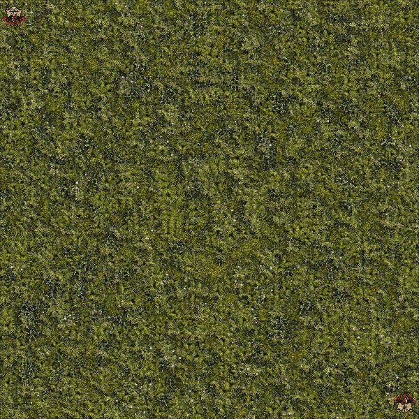 Producto - Bosque 5 XL