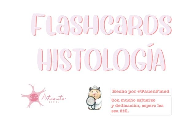 Producto - Fichas de Histología - PauenFmed