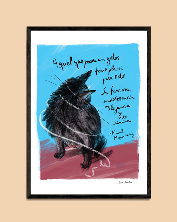 Producto - Gato negro