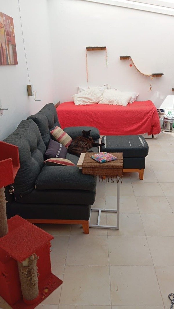 Miniatura de producto - 10