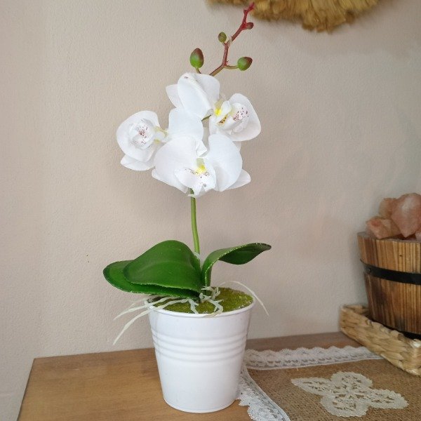 Producto - Planta orquidea 28cm