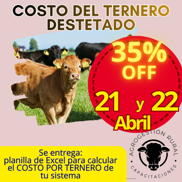 Producto - Taller Online: Costo del Ternero