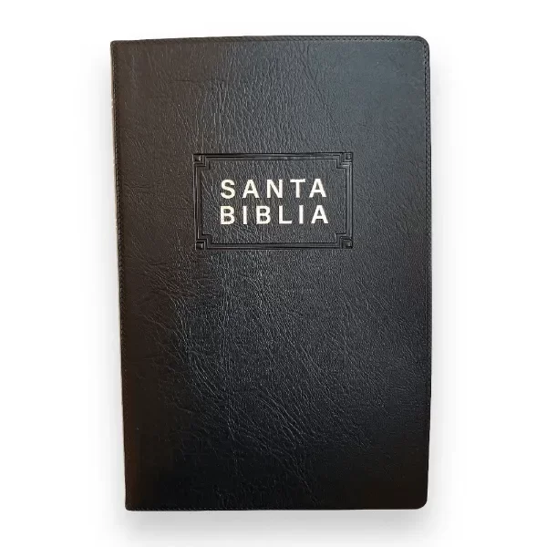 Producto - Biblia Nueva Traducción Viviente Vinil Negro