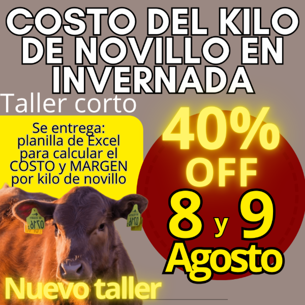 Producto - Taller corto: cálculo del costo del kilo de novillo - 0