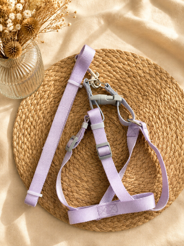 Producto - Set Soho Violeta