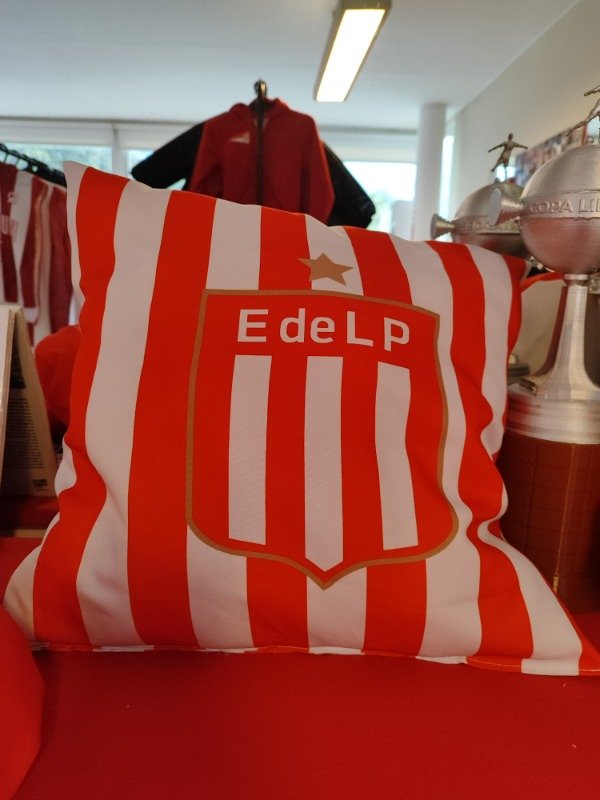 Producto - Almohadon grande - Estudiantes