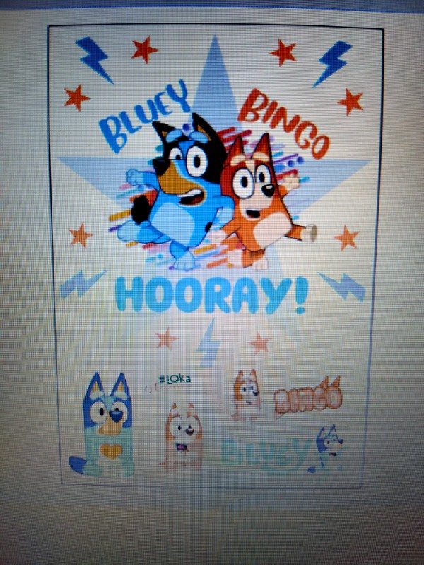 Producto - Termotransferibles 20x29cm Bluey y Bingo