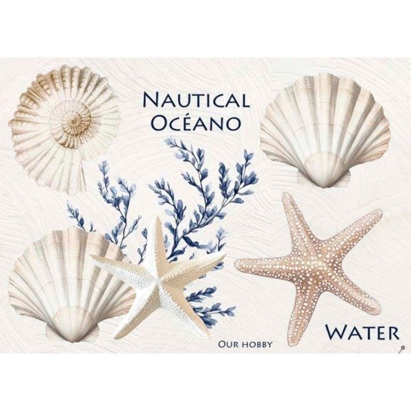 Producto - Marino 202