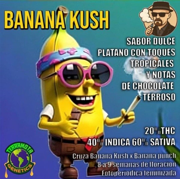 Producto - Banana Kush