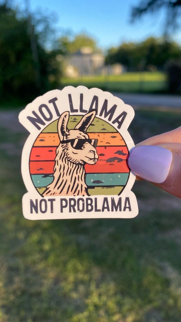 Producto - Not llama not problama