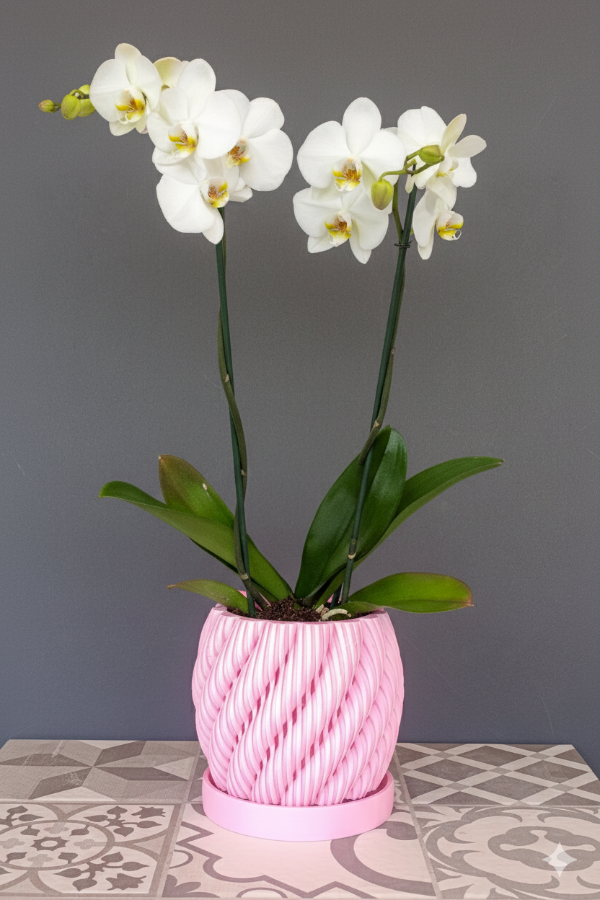 Producto - Orquideas - 0