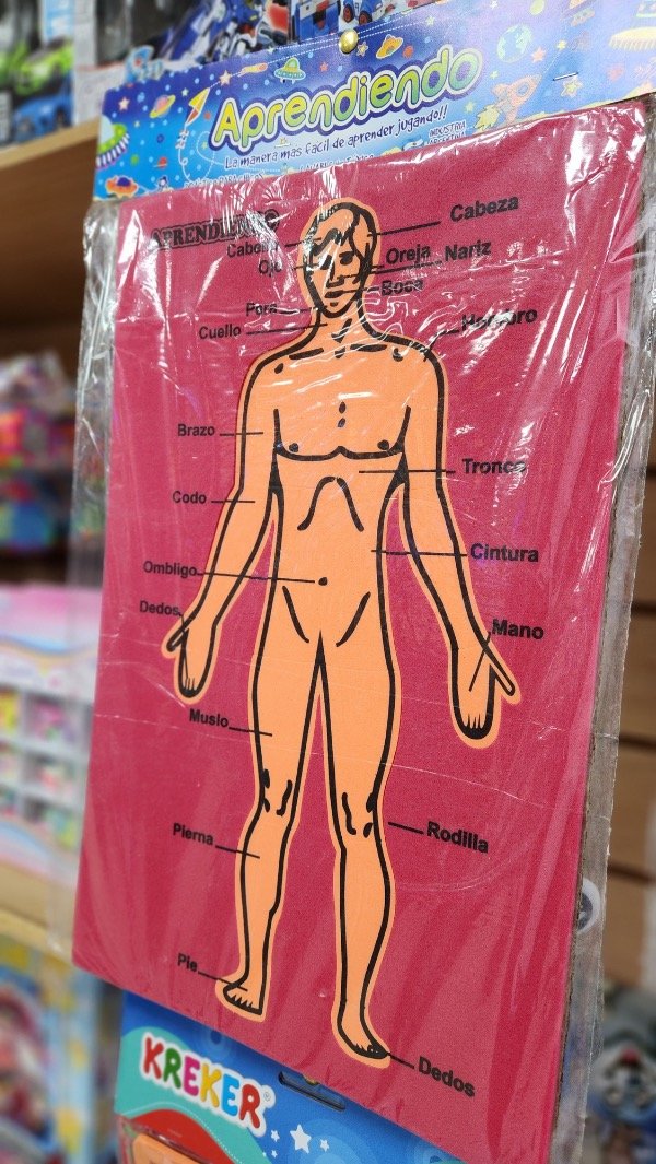 Producto - Juego de encastre -  Cuerpo humano