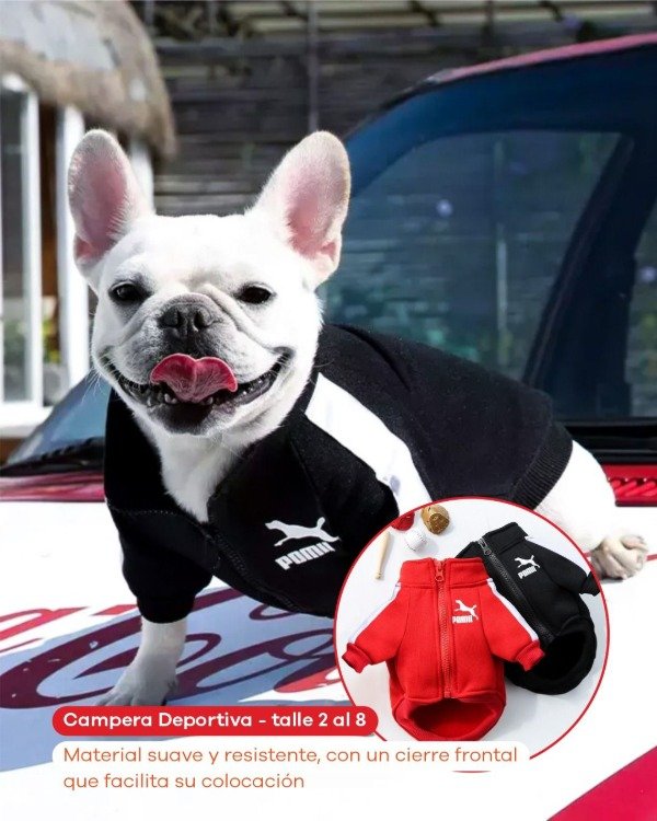 Producto - Campera deportiva