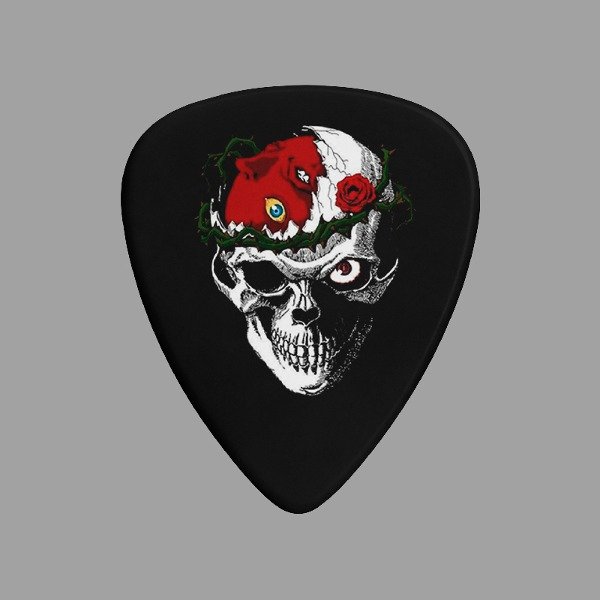 Producto - Skull Púa