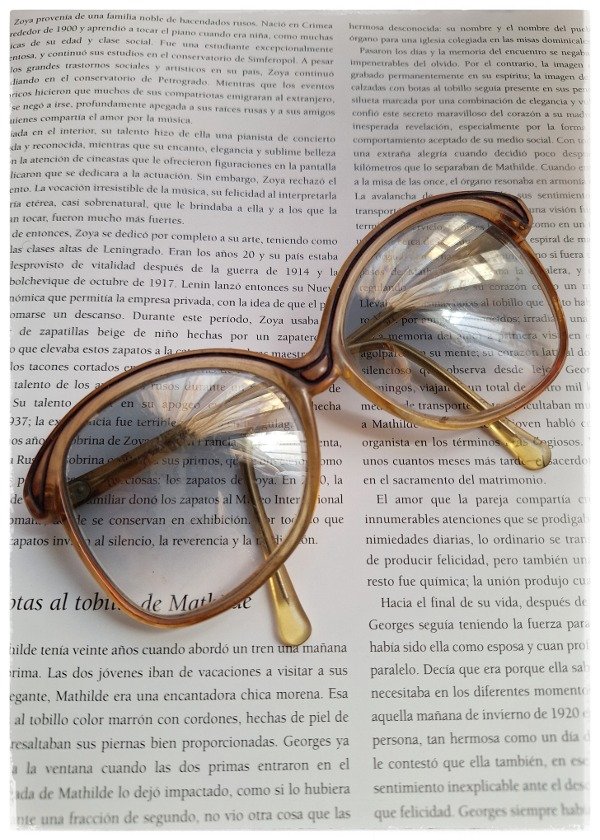 Producto - Anteojos de lectura Años 70'