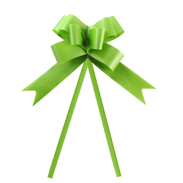 Producto - Moño Mate #25