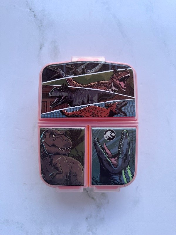 Producto - Lunchera Plástico 17