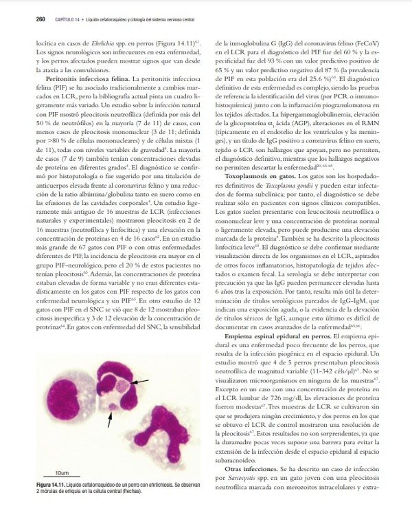 Producto - Cowell: Diagnóstico Citológico y Hematológico del Perro y el Gato, 5ta - 7