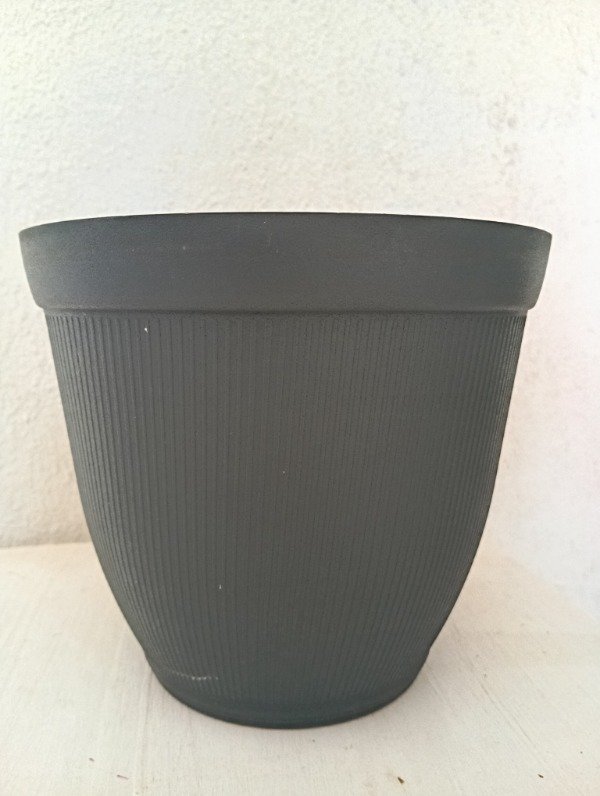 Producto - Finny 20 cm