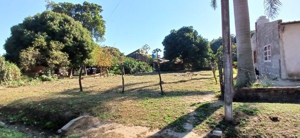 Producto - LAS PALMAS -  CHACO