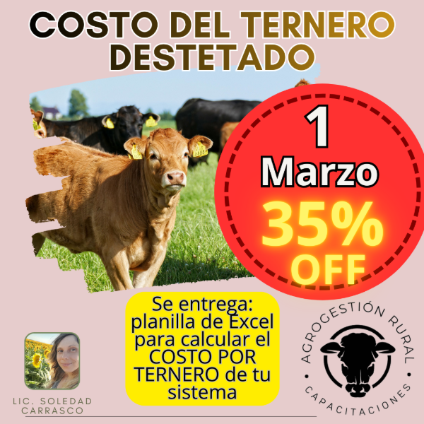Producto - Taller Online: Costo del Ternero