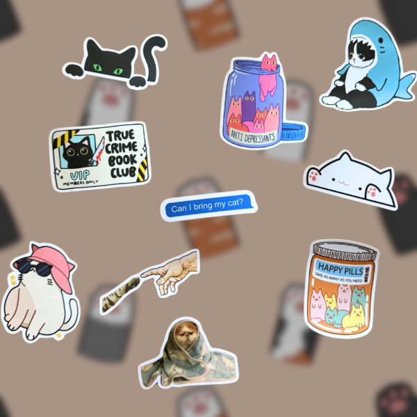 Producto - Pack Cat Lover