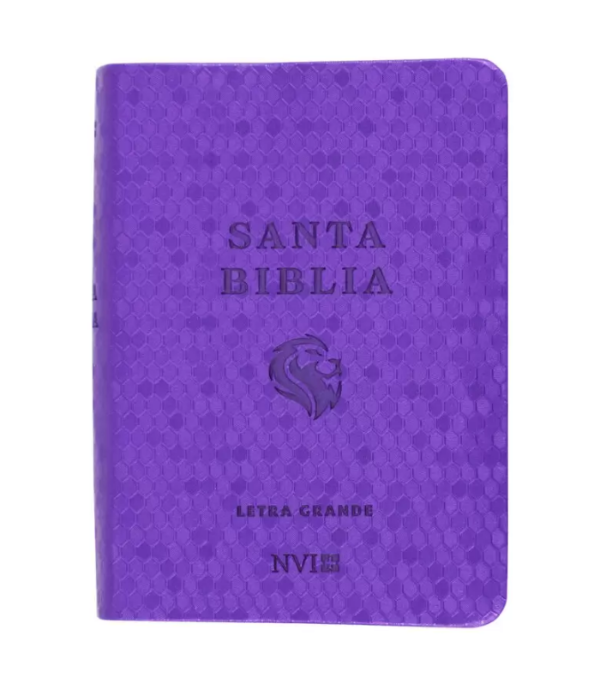 Producto - BIBLIA NVI TAMAÑO BOLSILLO CON CIERRE VIOLETA