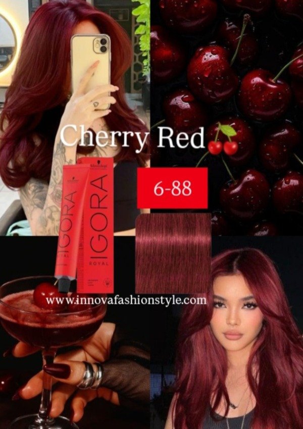 Producto - Kit Igora Royal Tintura 6-88 Cherry Red + Oxidante Igora 20vol