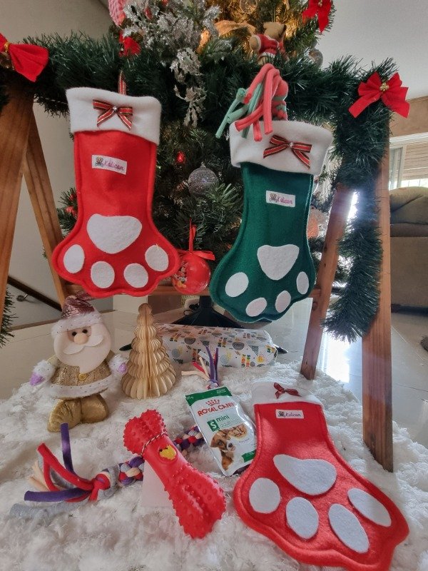 Producto - Huella Navideña para Perros y Cachorros