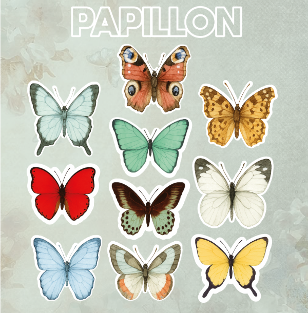 Producto - Papillon 1