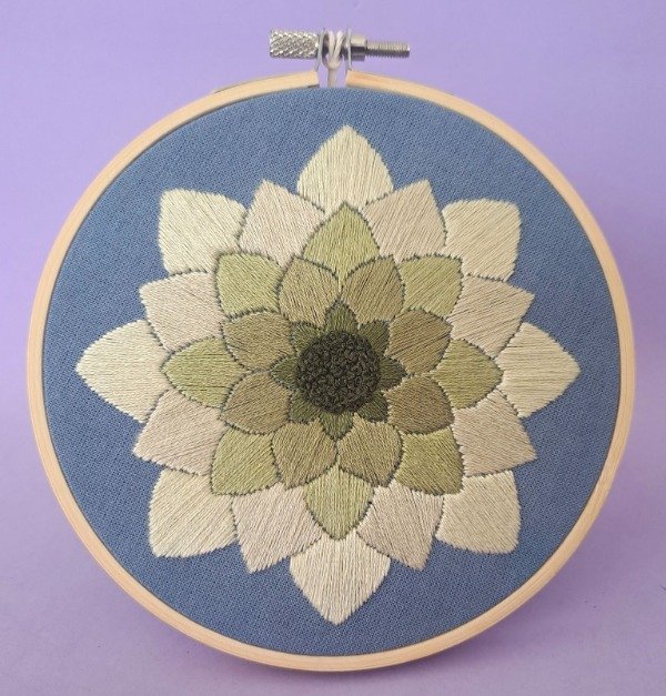 Producto - Suculenta