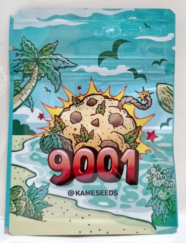 Producto - Semillas 9001 Fotoperiodica